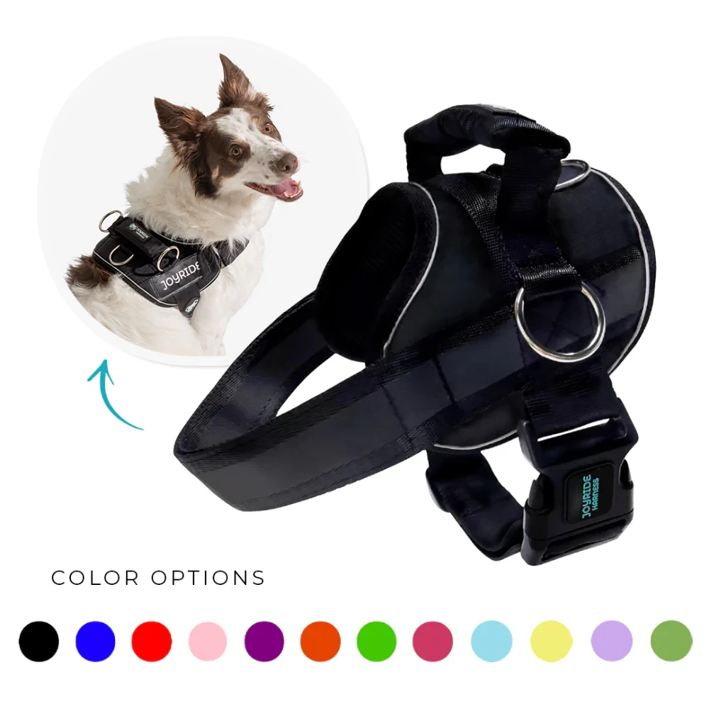 Joyride classic no-pull harness in teal color with adjustable straps and side-ring technology