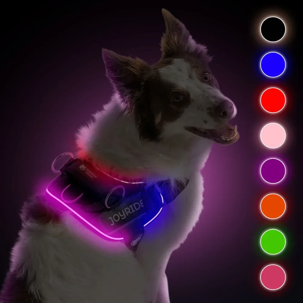 Joyride harness collection showing multiple vibrant color options available in all sizes